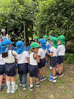 ファイル 2031-1.jpg