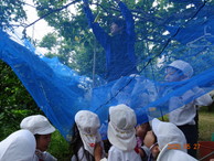 ファイル 2032-1.jpg