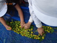 ファイル 2032-2.jpg