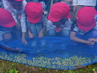 ファイル 2032-3.jpg