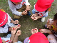 ファイル 2032-5.jpg