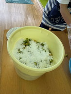 ファイル 2033-5.jpg