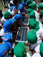 ファイル 2034-1.jpg