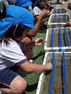 ファイル 2034-3.jpg