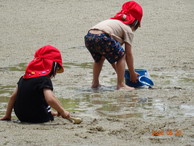 ファイル 2037-2.jpg