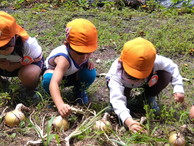 ファイル 2042-2.jpg