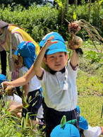 ファイル 2042-3.jpg