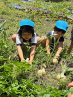 ファイル 2042-4.jpg