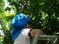 ファイル 2043-2.jpg