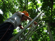 ファイル 2043-3.jpg