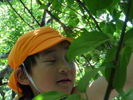 ファイル 2043-4.jpg