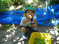 ファイル 2043-5.jpg