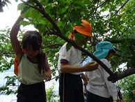 ファイル 2044-1.jpg