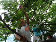 ファイル 2044-2.jpg