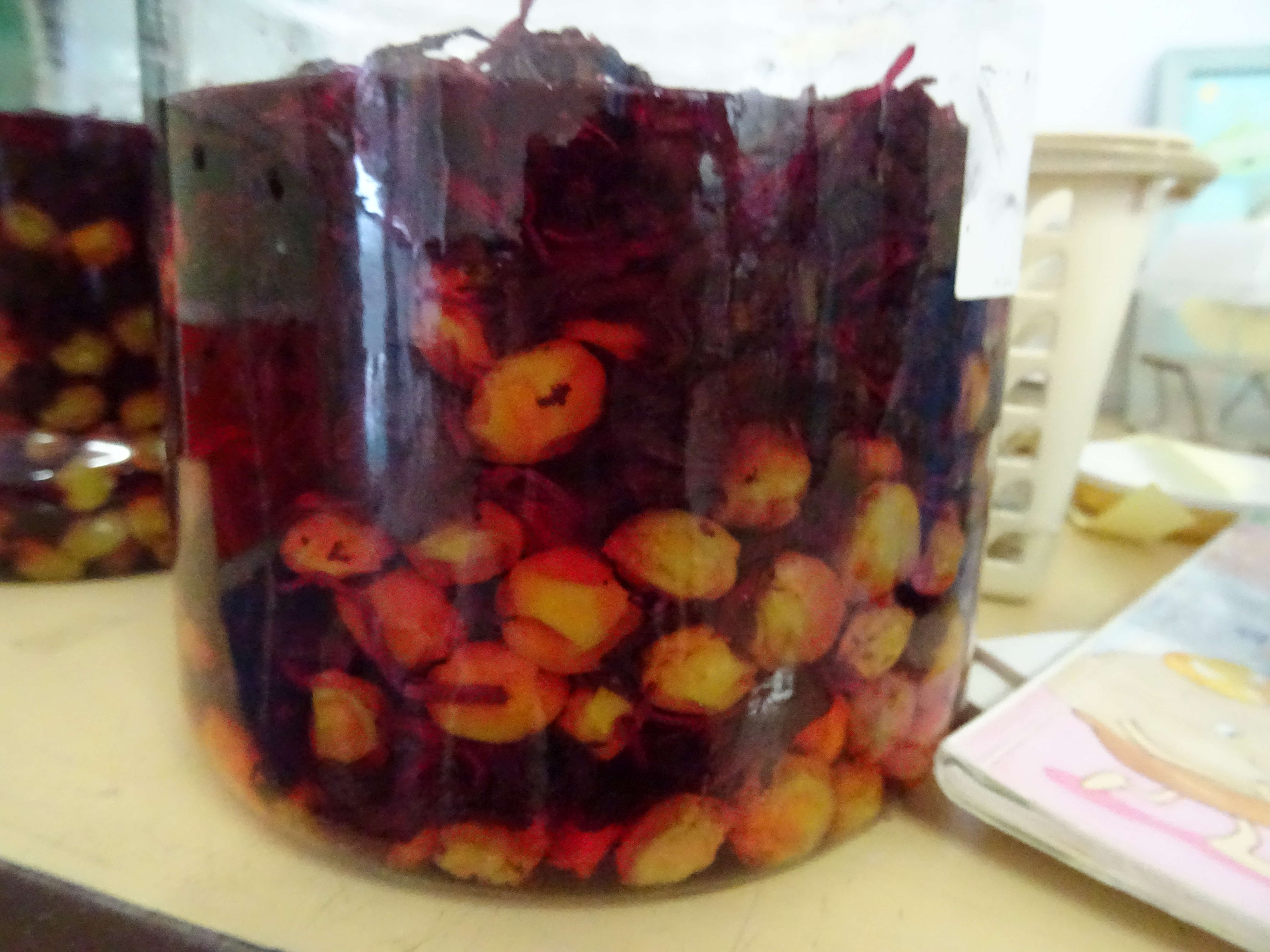 ファイル 2045-1.jpg