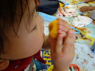 ファイル 2050-2.jpg