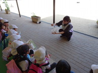 ファイル 2051-1.jpg