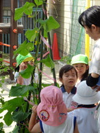 ファイル 2052-1.jpg