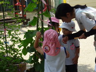 ファイル 2052-2.jpg