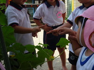 ファイル 2052-3.jpg