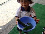 ファイル 2052-4.jpg