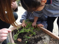 ファイル 2132-1.jpg