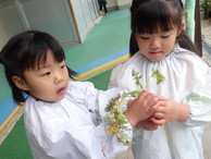 ファイル 2132-2.jpg