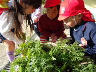 ファイル 2134-1.jpg