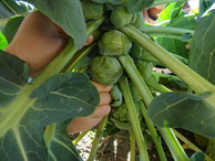 ファイル 2134-3.jpg