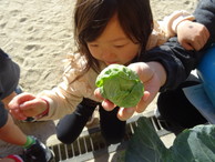 ファイル 2134-4.jpg