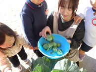 ファイル 2134-5.jpg