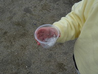 ファイル 2137-3.jpg