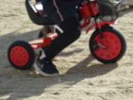 ファイル 2141-3.jpg