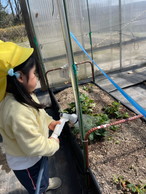 ファイル 2168-2.jpg