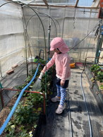 ファイル 2168-3.jpg