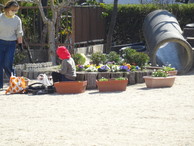 ファイル 2171-3.jpg