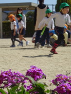 ファイル 2172-2.jpg